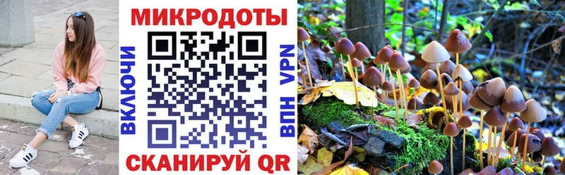 Псилоцибиновые грибы GOLDEN TEACHER Няндома